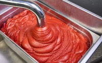 discharge sheet Eccentric screw pump - decanting tomato paste